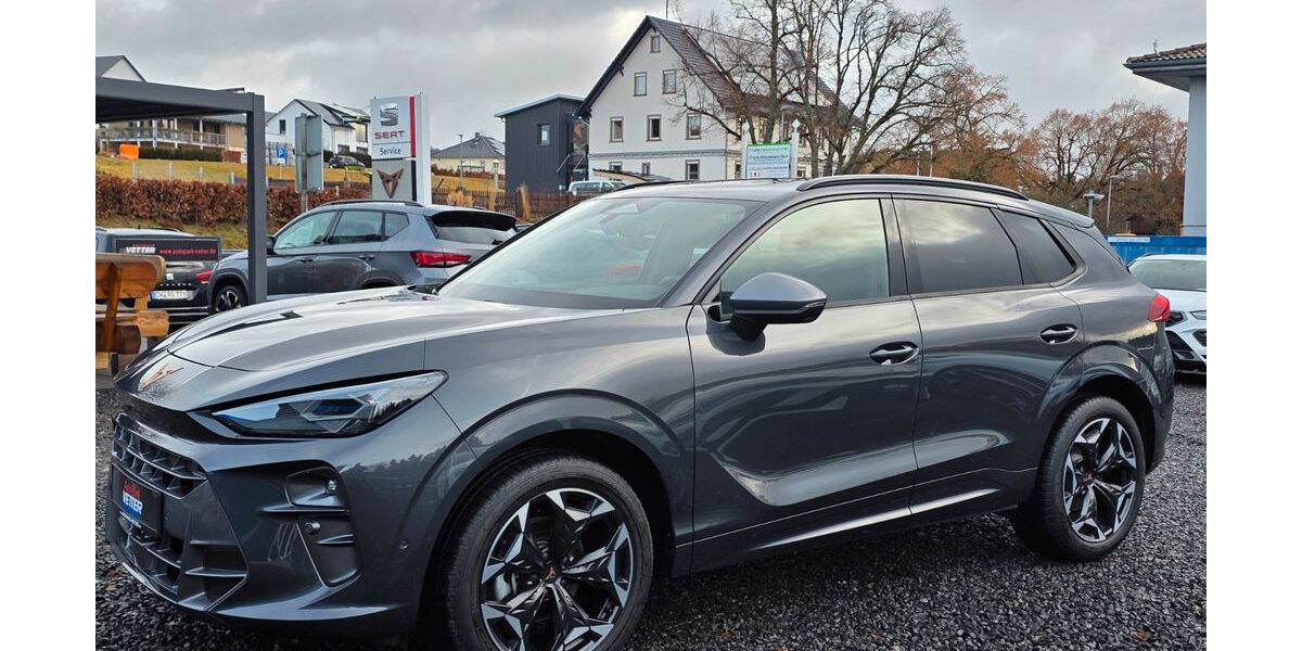 Cupra Terramar 17.880 km 36.490 &euro; Oberreichenbach 75394