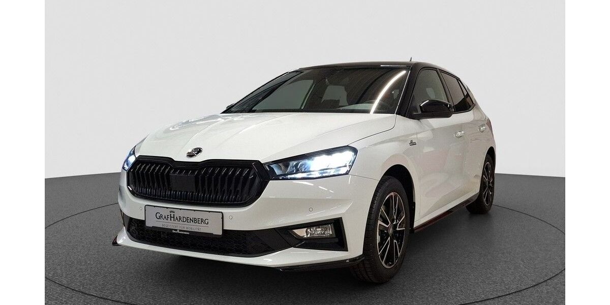 Skoda Fabia 1.150 km 24.890 &euro; Karlsruhe 76131