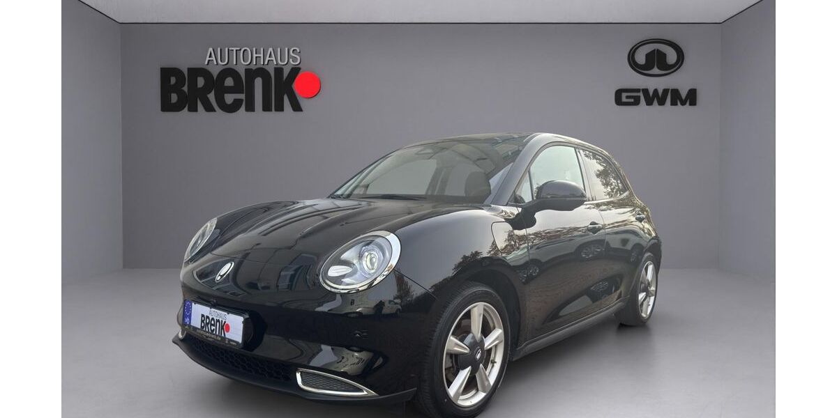 GWM Ora 03 29.000 km 15.950 &euro; Karlsruhe 76187