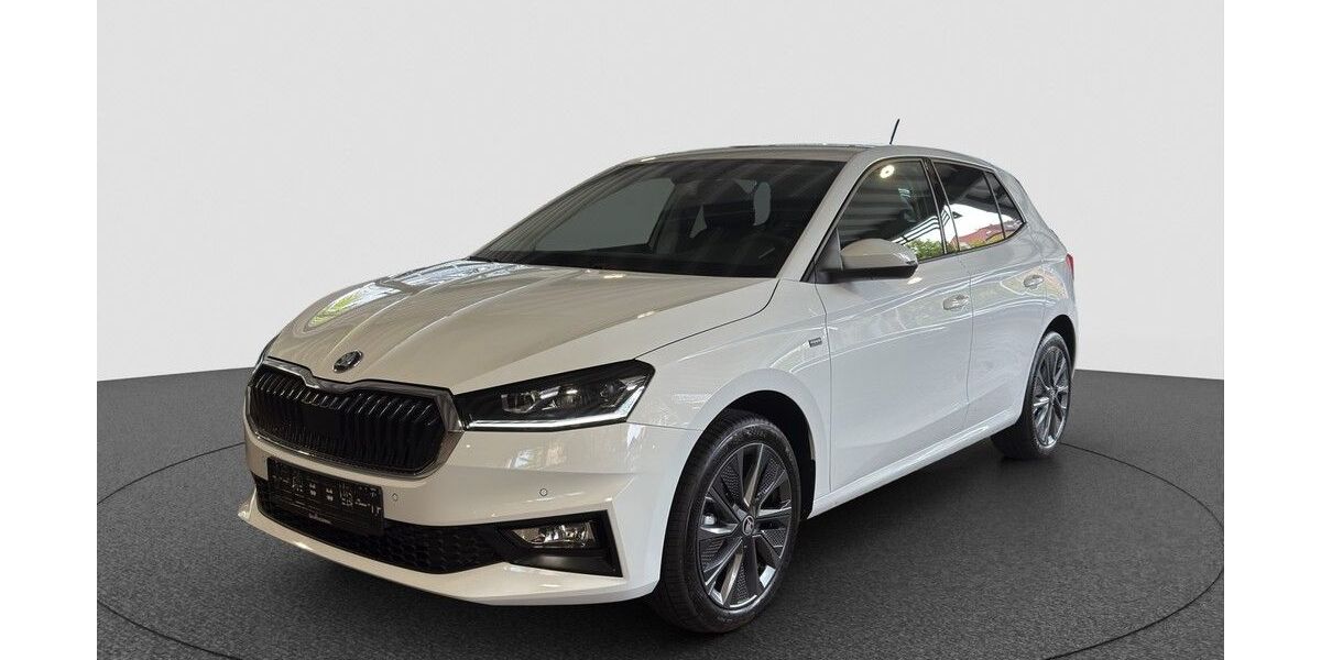 Skoda Fabia 4.000 km 28.390 &euro; Karlsruhe 76131