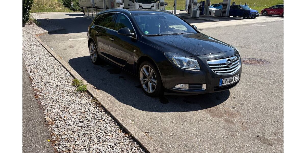 Opel Insignia 133.120 km 5.800 &euro; Wildberg 72218
