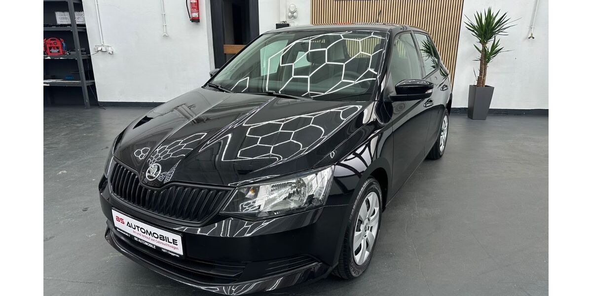 Skoda Fabia 80.102 km 8.400 &euro; Gaggenau 76571