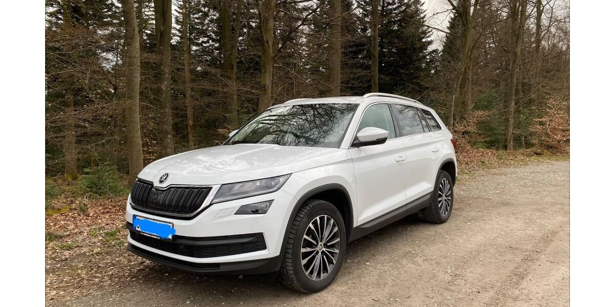 Skoda Kodiaq 136.000 km 21.900 &euro; Dobel 75335