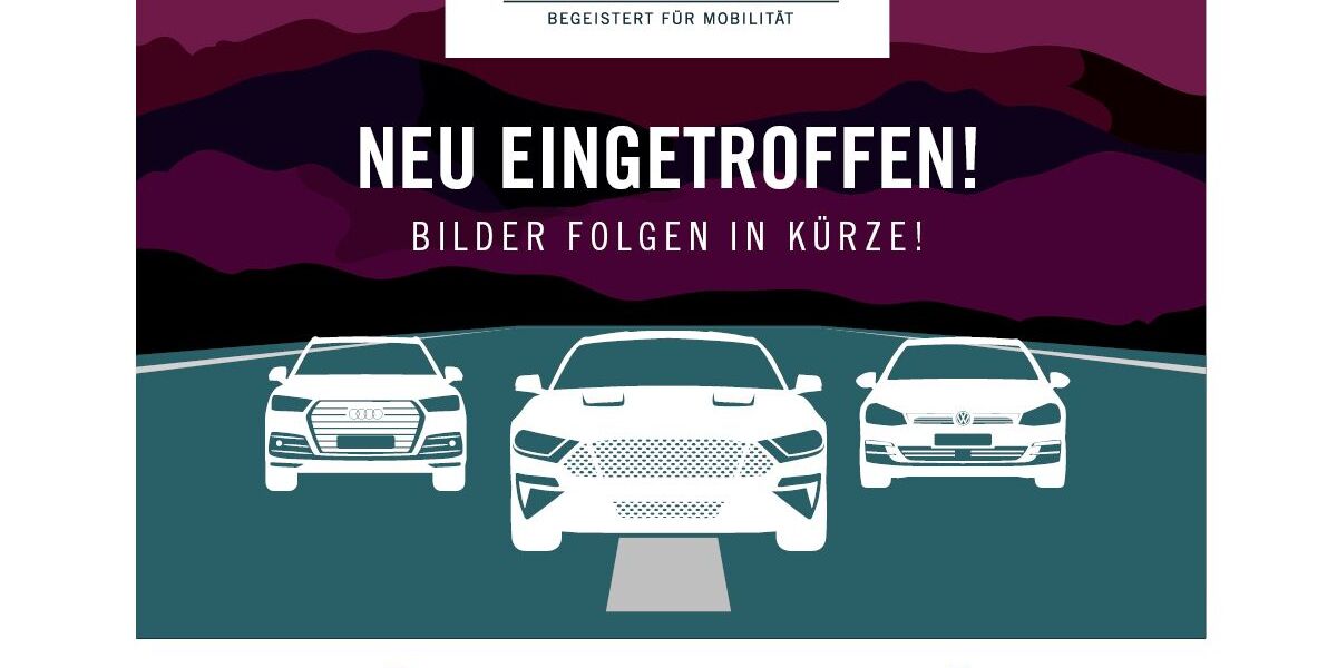 VW T-Roc 16.918 km 41.790 &euro; Bretten 75015