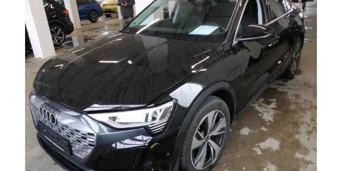 Audi Q8 e-tron 23.062 km 53.900 &euro; Ettlingen 76275