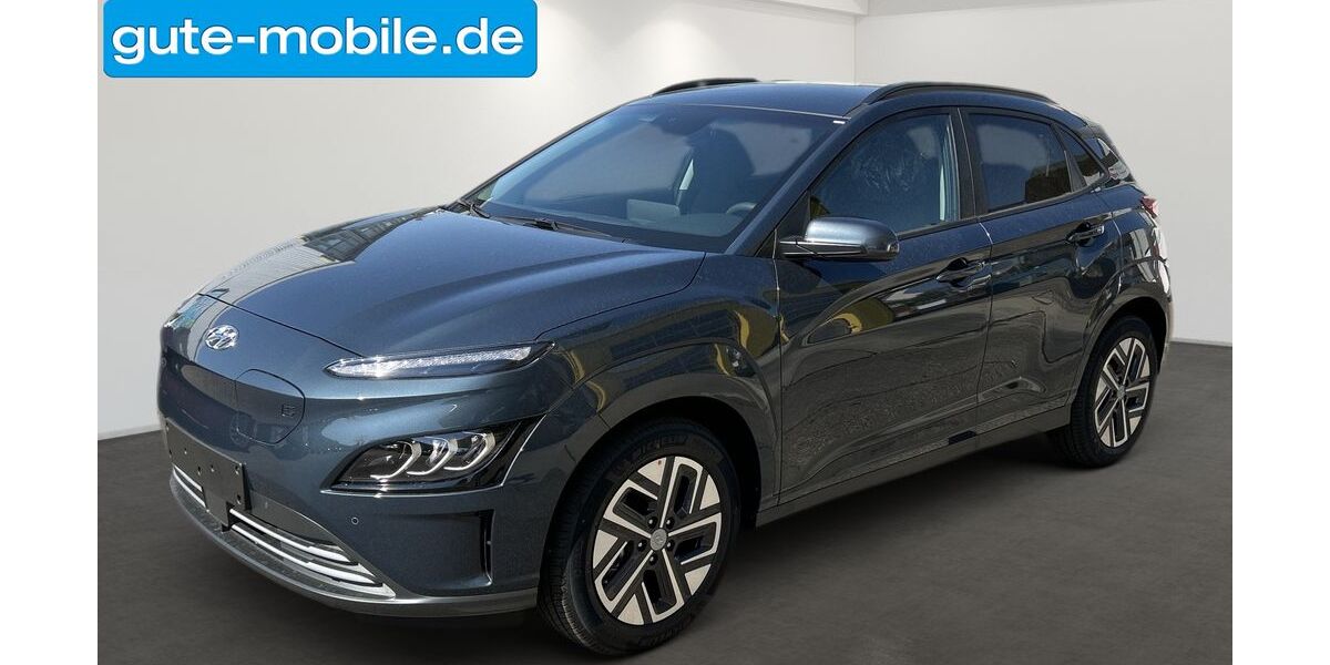 Hyundai KONA Elektro 28.500 km 21.990 &euro; Leonberg 71229