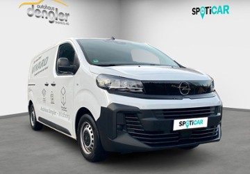 Opel Vivaro 12.900 km 25.900 &euro; Wildberg 72218