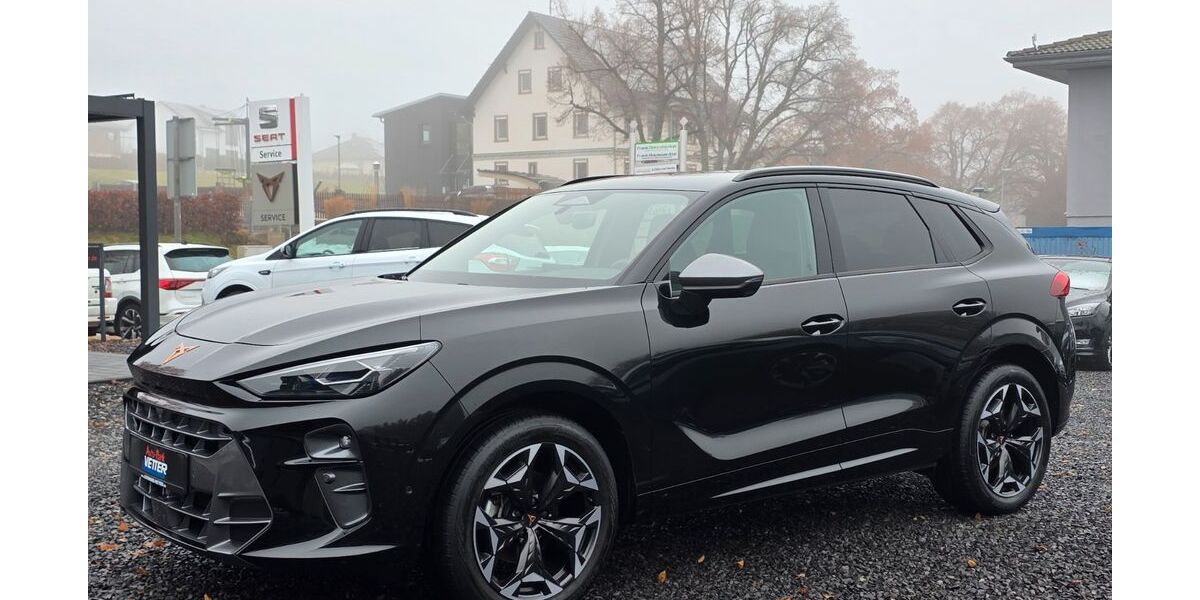 Cupra Terramar 17.060 km 36.970 &euro; Oberreichenbach 75394