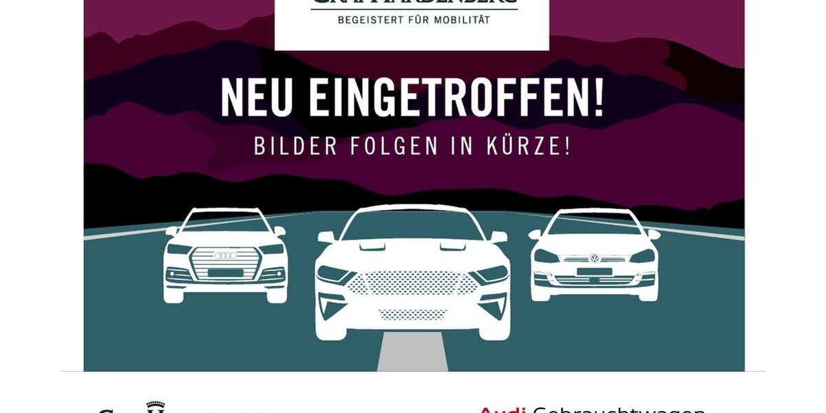 Tesla Model 3 31.200 km 34.980 &euro; Karlsruhe 76131