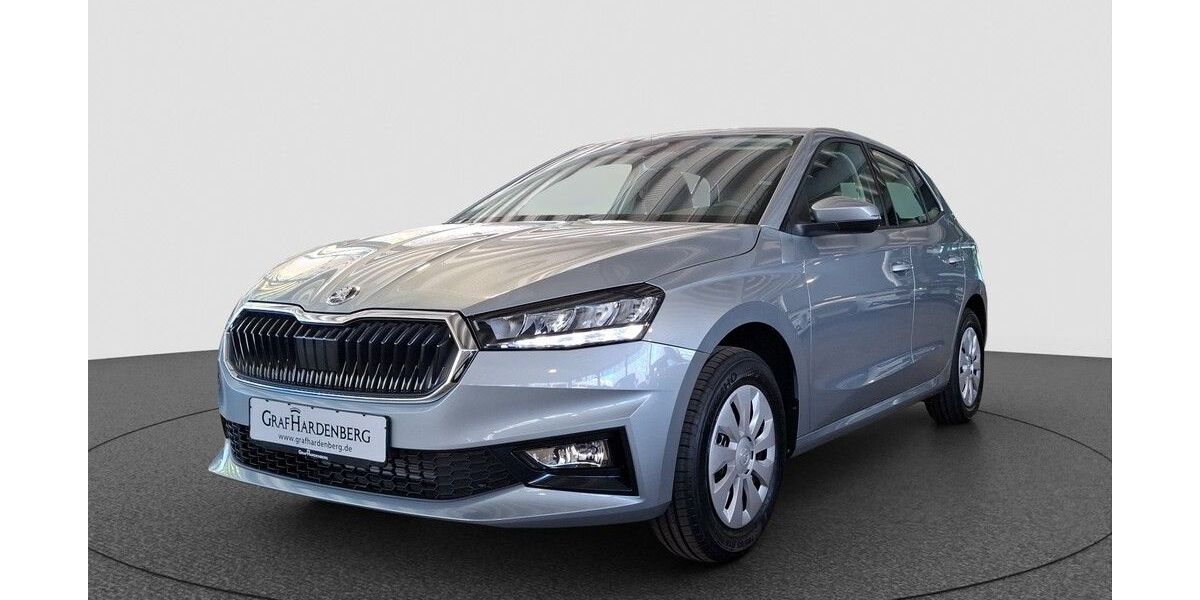 Skoda Fabia 1.150 km 21.490 &euro; Karlsruhe 76131