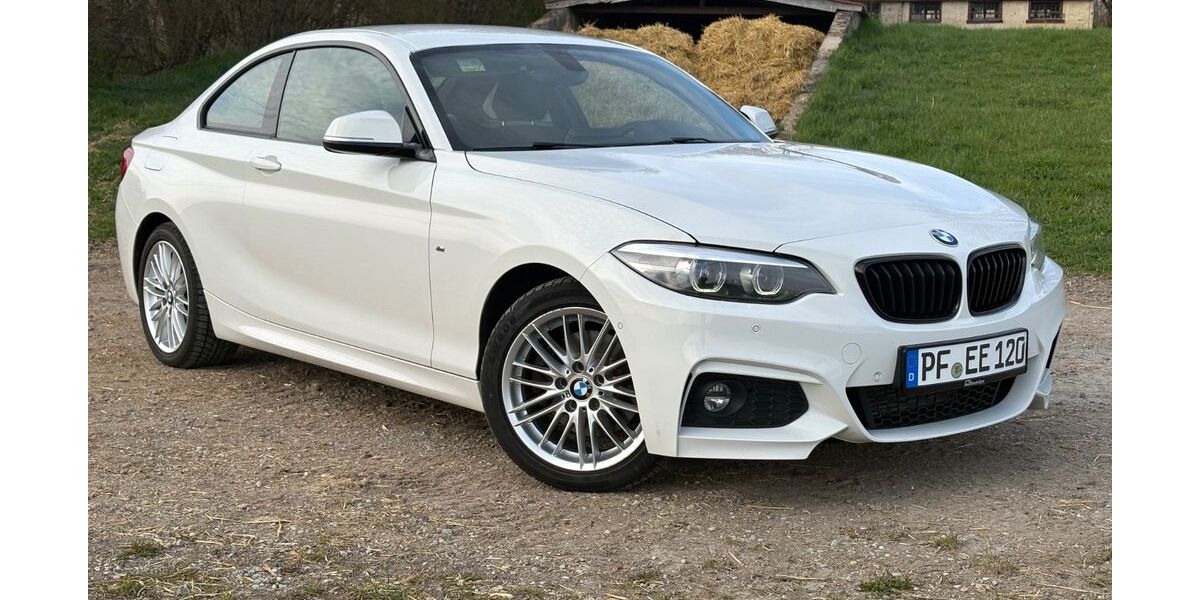 BMW 220 207.000 km 15.800 &euro; Pforzheim 75175