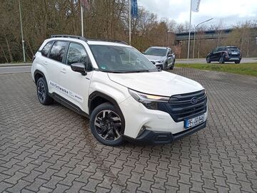 Gebrauchte Subaru Forester