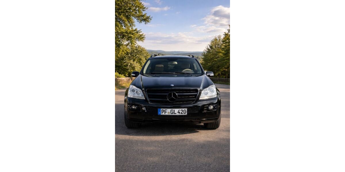 Mercedes-Benz GL 420 302.000 km 9.000 &euro; Pforzheim 75181